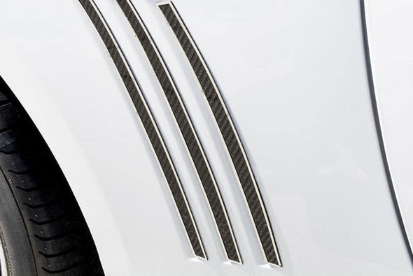 2010-2014 5th Gen Camaro Rear Quarter Panel Trim Kit - Carbon Fiber & Stainless Steel