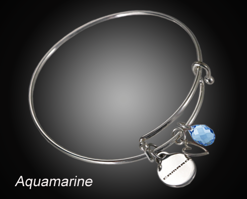 Camaro Logo & Crystal Charm Bracelet